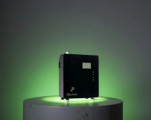 Best Incense for Home