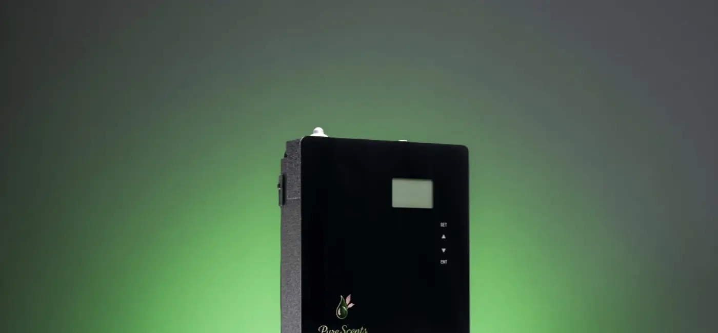 Best Incense for Home